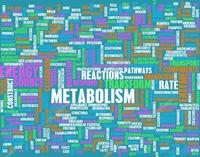 metabolism - Year 11 - Quizizz