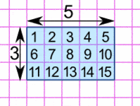 cuadrados de punnett - Grado 3 - Quizizz