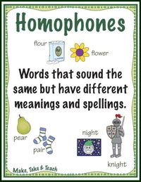 Homophones and Homographs - Class 1 - Quizizz