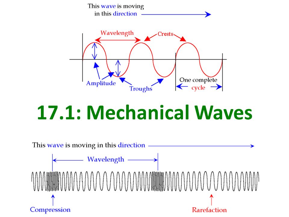 waves-2-general-science-quiz-quizizz