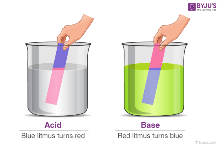 Amino Acids - Class 10 - Quizizz