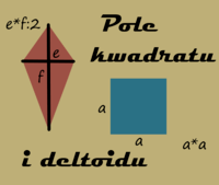 kwadraty Punnetta - Klasa 4 - Quiz