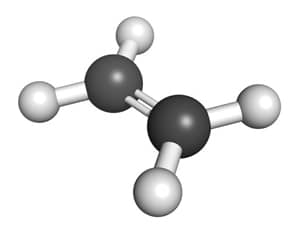 Thêm hỗn số - Lớp 11 - Quizizz