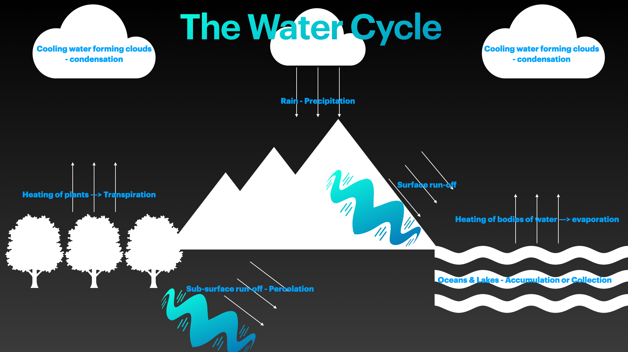 Water In The World | 163 Plays | Quizizz