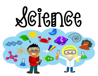 Grade 7 Science Quiz | 65 plays | Quizizz