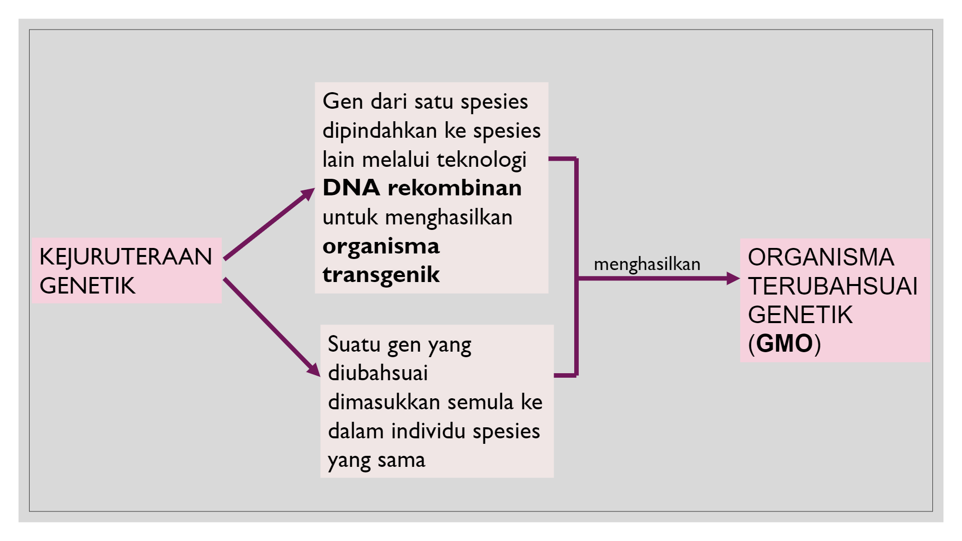 Teknologi kejuruteraan genetik