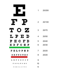 Palabras visuales - Grado 11 - Quizizz