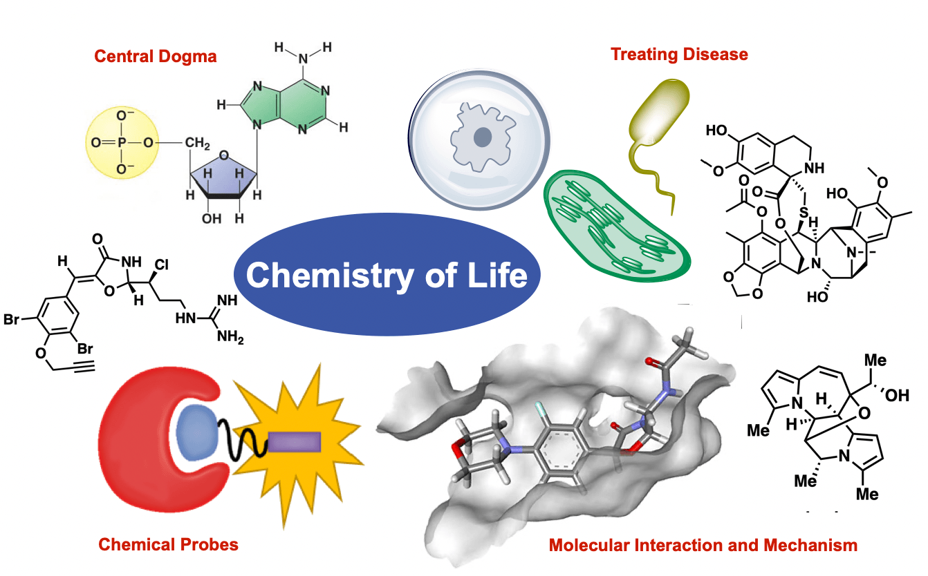 chemistry of life assignment