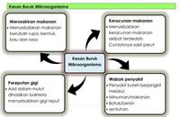 KEGUNAAN DAN KESAN BURUK MIKROORGANISMA