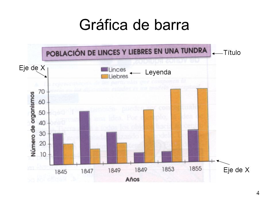 Gráficos de barras escaladas - Grado 12 - Quizizz