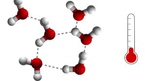 Intermolecular Forces | 2.5K plays | Quizizz