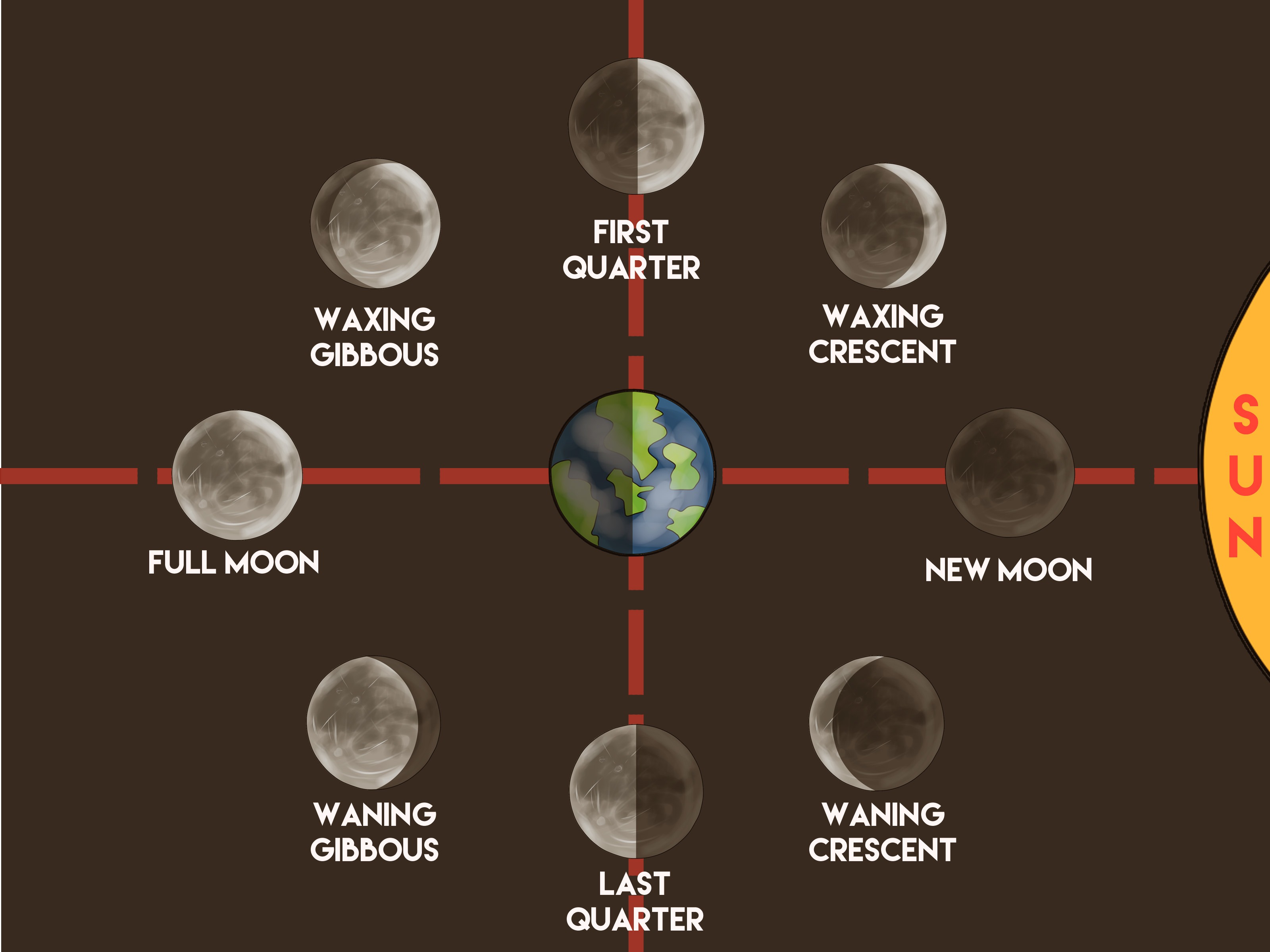 unit-3-moon-phases-eclipses-and-tides-quiz-quizizz