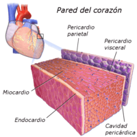 Dibujar Corazones - Grado 12 - Quizizz