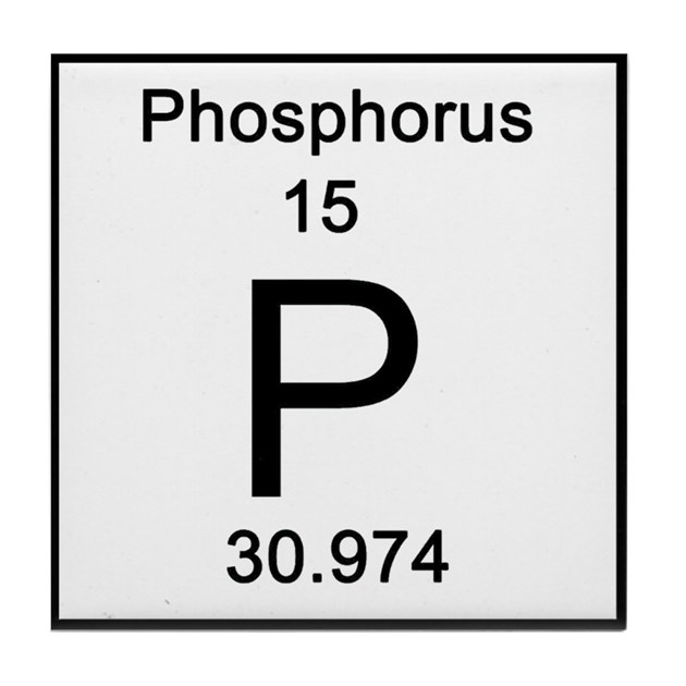 the-first-20-elements-74-plays-quizizz