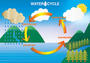 Water Cycle and Weather Instruments