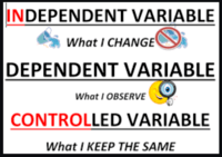 variables dependientes - Grado 6 - Quizizz