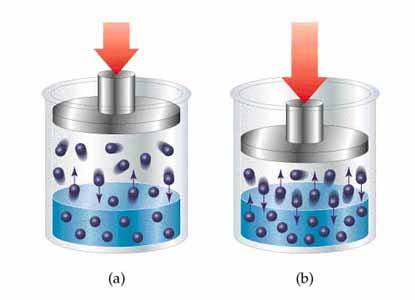 Factors affecting Chemical Equilibrium and their Effects | 82 plays ...