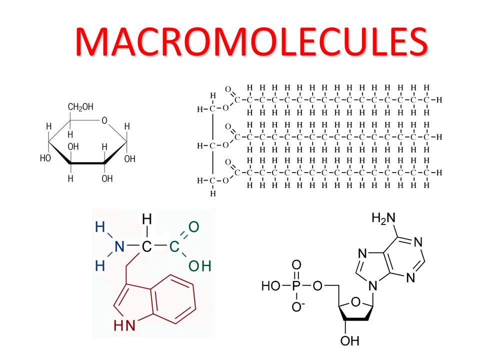 macro moléculas - Série 8 - Questionário