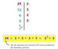 Números primos y compuestos - Grado 6 - Quizizz