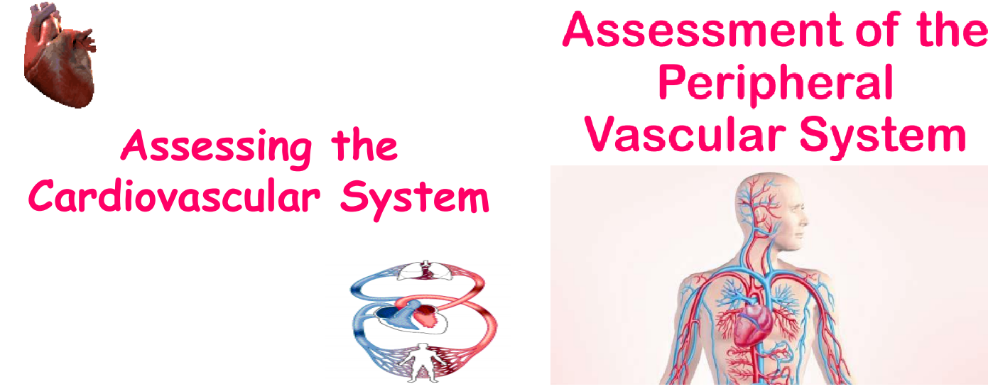 Assessment Of Cardiovascular, Peripheral & Vascular System | 132 Plays ...