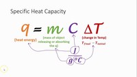 MCAT - Year 12 - Quizizz