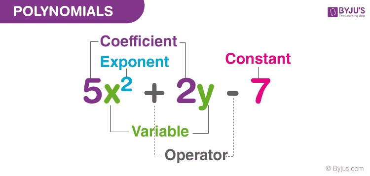 Polynomials: Vocabulary & Classifying