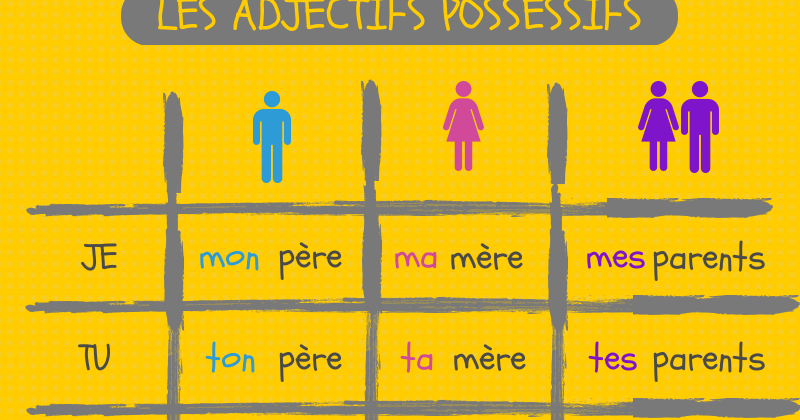 Les Adjectifs Possessifs Mon, Ton, Son Quiz - Quizizz