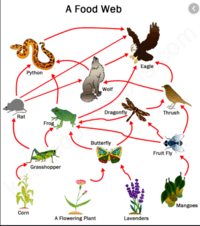 Energy - Year 10 - Quizizz