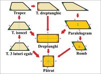 Litera a - Klasa 7 - Quiz