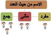 الاسم من حيث العدد: مفرد.مثنى.جمع مذكر سالم/جمع مؤنث سالم