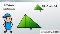 Scaled Pictographs - Year 12 - Quizizz