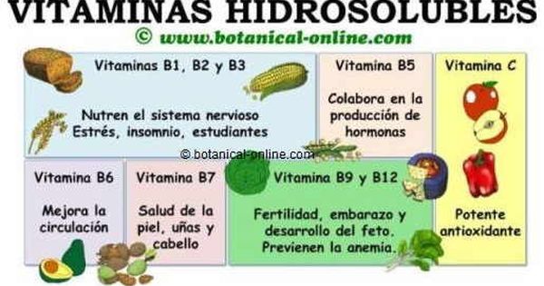 Vitaminas Hidrosolubles Science Quizizz