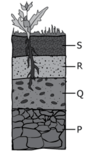 Soil and Natural Disasters