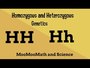 Homozygous or Heterozygous?