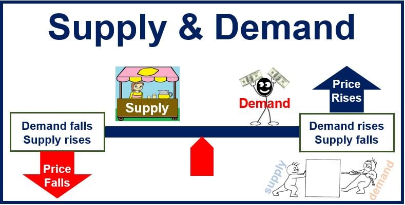 supply and demand - Grade 12 - Quizizz