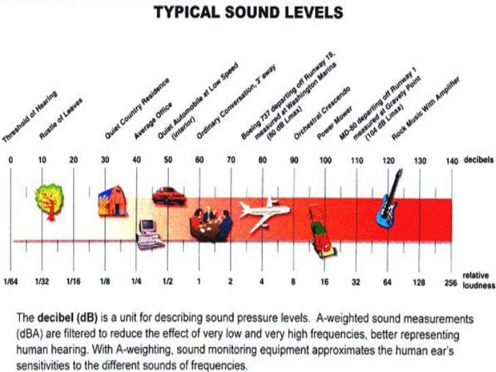 Sound - Hearing | Science - Quizizz