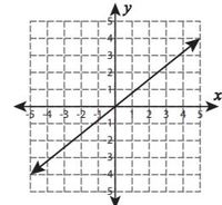 variación genética - Grado 12 - Quizizz