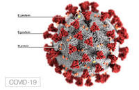 virus - Kelas 7 - Kuis