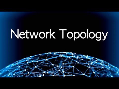 Network Topologies questions & answers for quizzes and worksheets - Quizizz