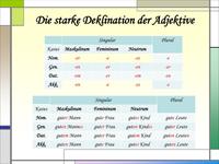 Stosunki i stawki - Klasa 9 - Quiz