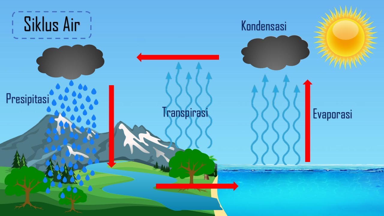 Materi Tema Siklus Air Materi Ipa Kelas V Riset