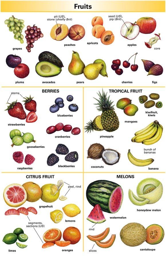 Classification of Fruits by seeds | Quizizz