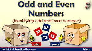 Odd and Even Numbers - Year 1 - Quizizz