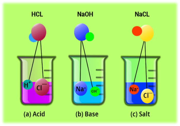 Module 22 - Acids, Bases, and Salts | Quizizz