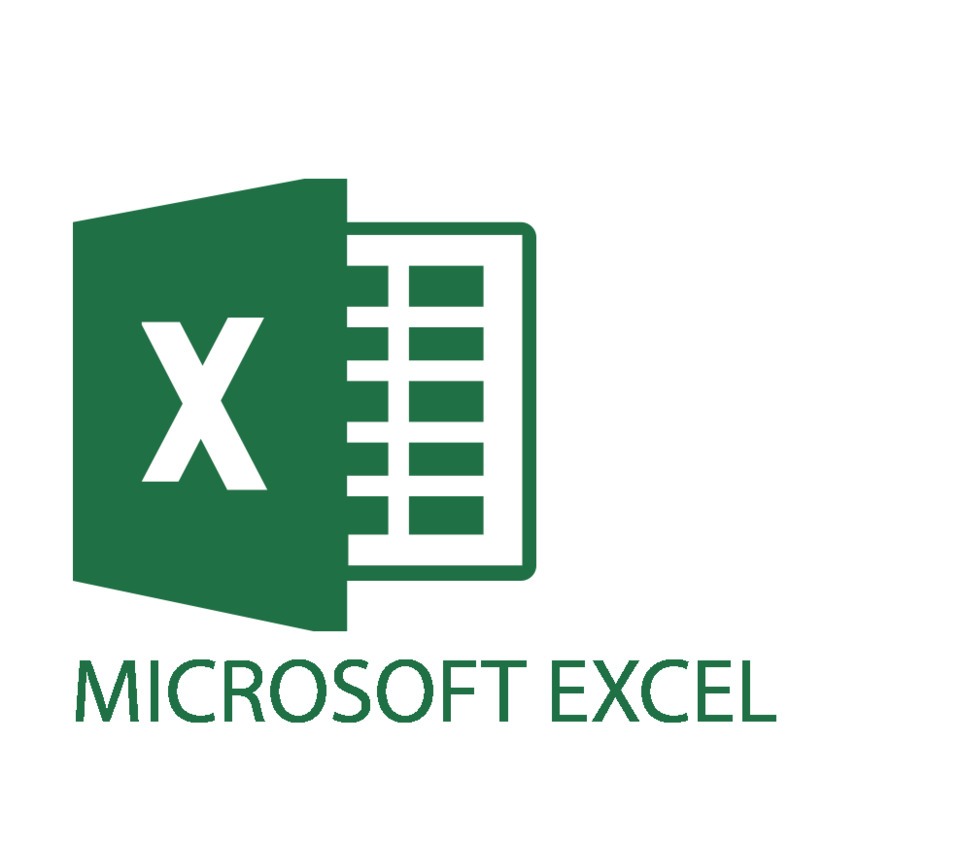 excel-for-business-q1-quizizz