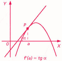 derivados - Grado 10 - Quizizz