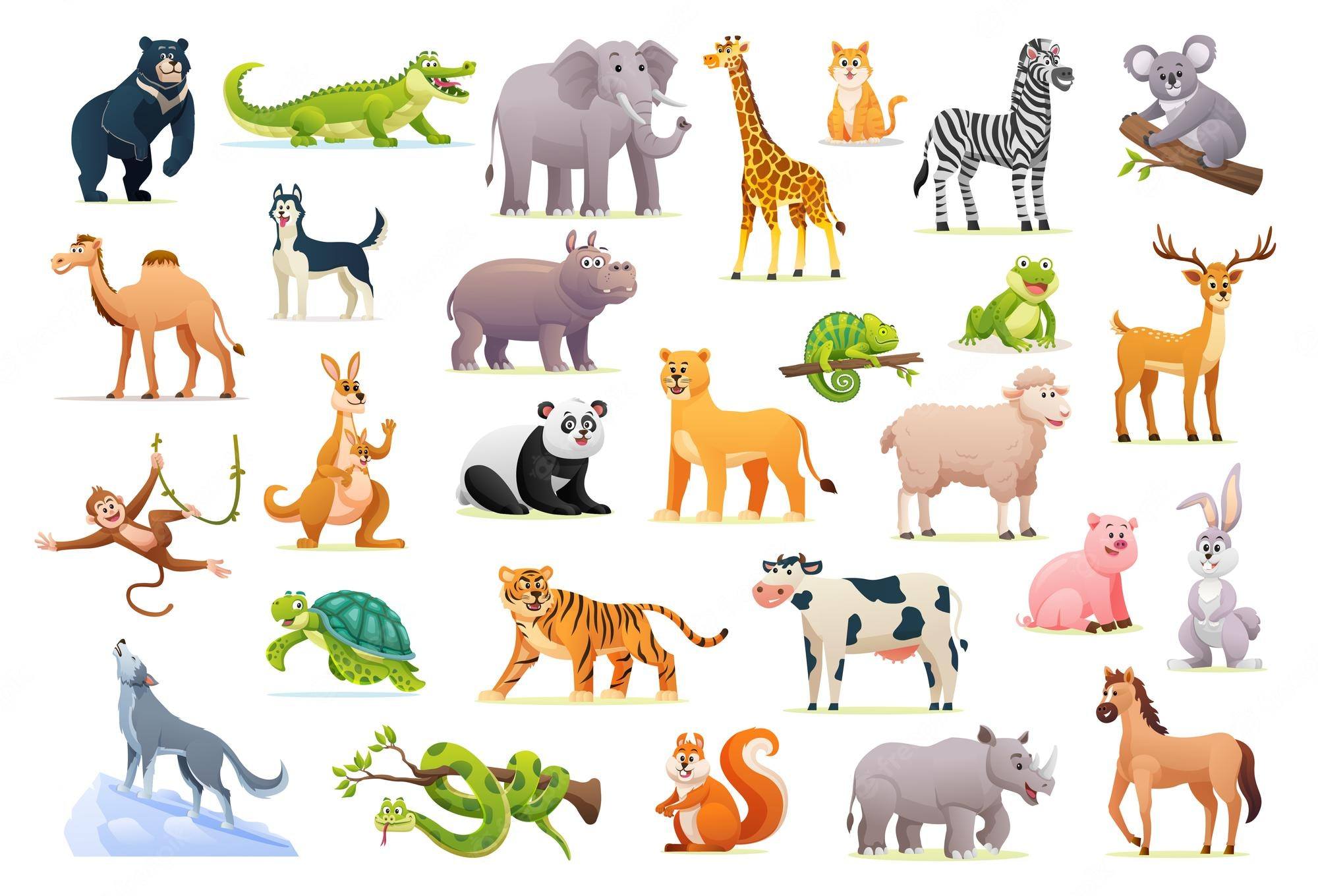 How to Tell Wild Animals - grammar questions & answers for quizzes and  worksheets - Quizizz