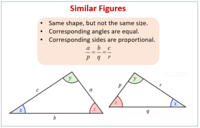 Similar Figures - Year 8 - Quizizz