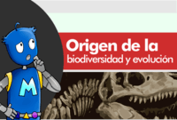 biodiversidad y conservación - Grado 7 - Quizizz