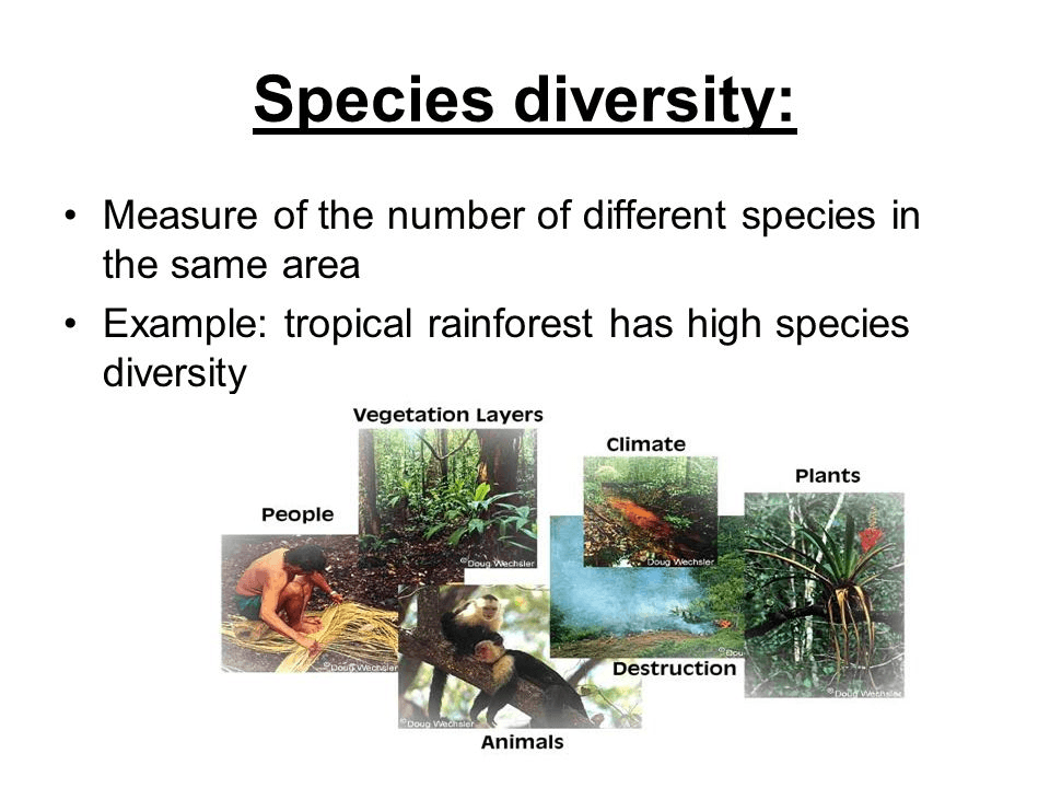 Measuring Biodiversity | Science - Quizizz